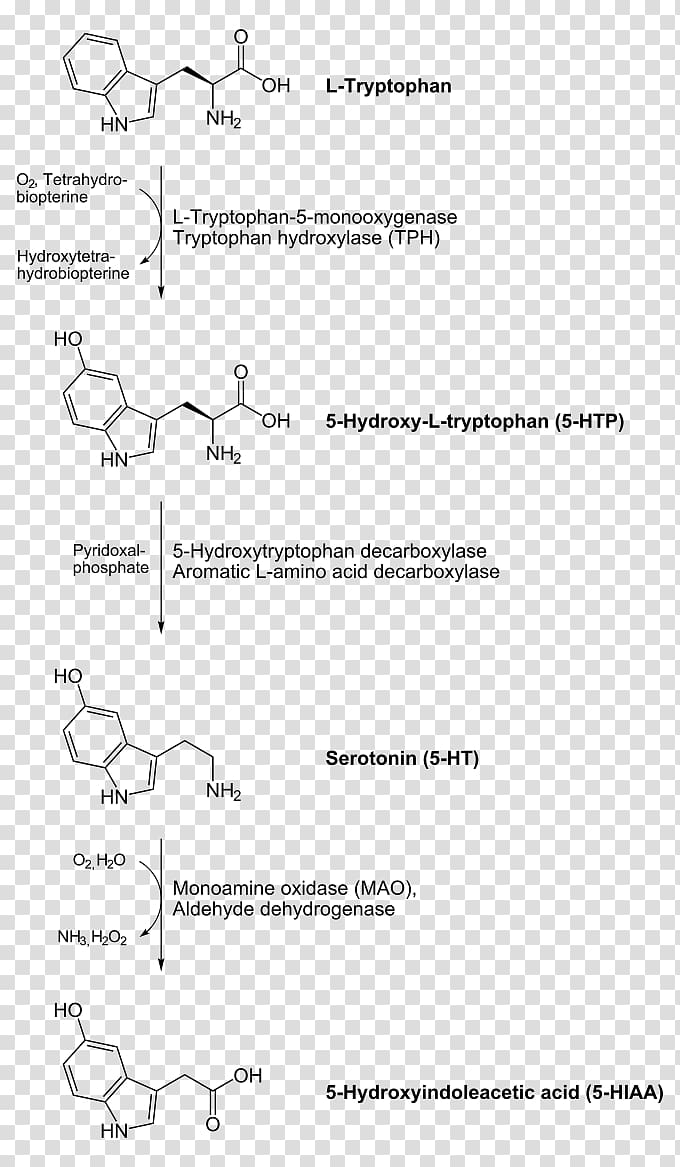 Aromatic L-amino acid decarboxylase inhibitor Levodopa Decarboxylation Carboxy-lyases, others transparent background PNG clipart