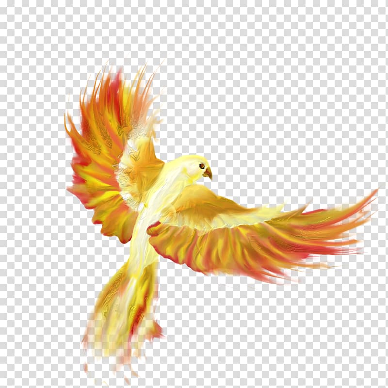Firebird Drawing Phoenix Desktop , animals birds transparent background PNG clipart