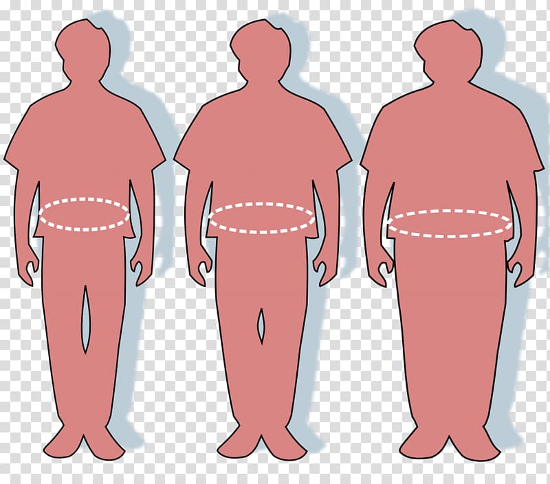 Waist Abdominal obesity Overweight Adipose tissue, fat man transparent background PNG clipart