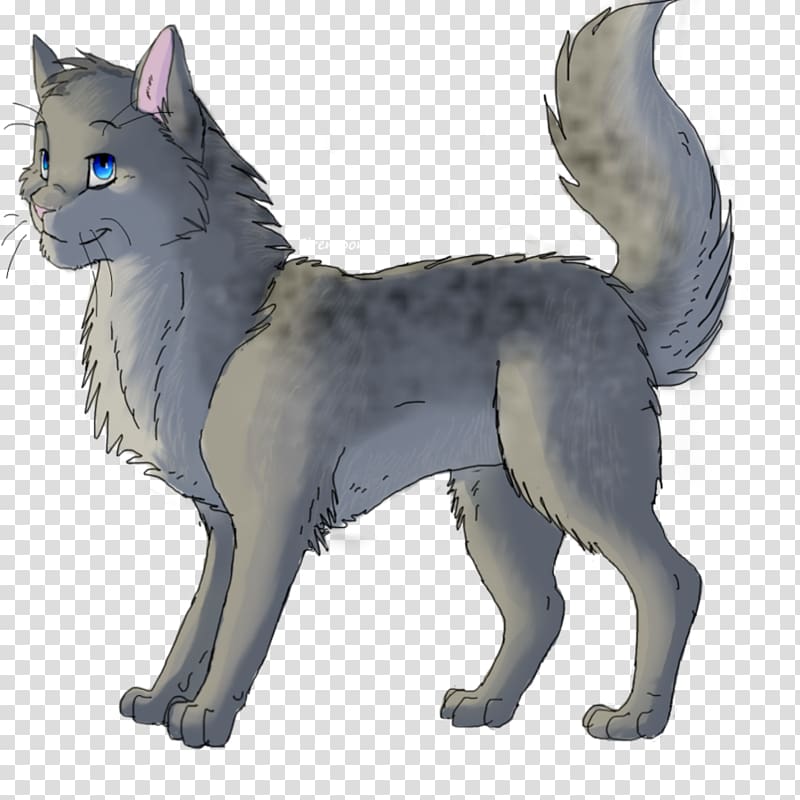 Cat Warriors Fire and Ice Ashfur ThunderClan, Warrior Cats transparent background PNG clipart
