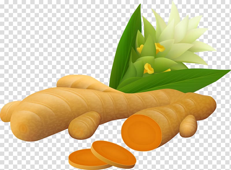 ginger illustration, Turmeric Ginger Curcumin Illustration, Cut ginger transparent background PNG clipart