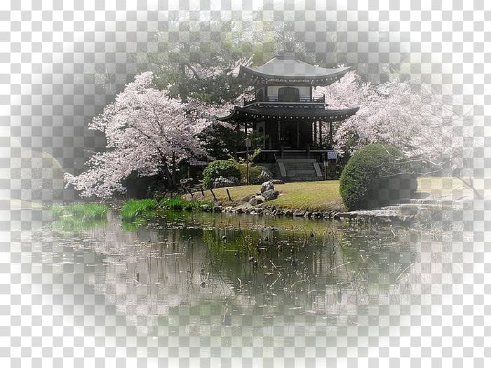 Japanese Cuisine Spring Hanami Cherry blossom, japan transparent background PNG clipart