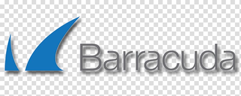 Barracuda Networks LA IT Consultants Backup Computer security Information technology, snowflakes falling transparent background PNG clipart
