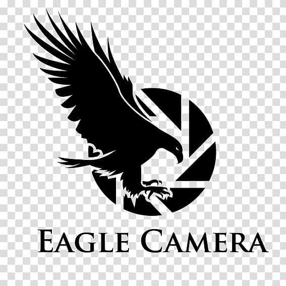 Logo Animal Illustration, Creative eagle flag transparent background PNG clipart