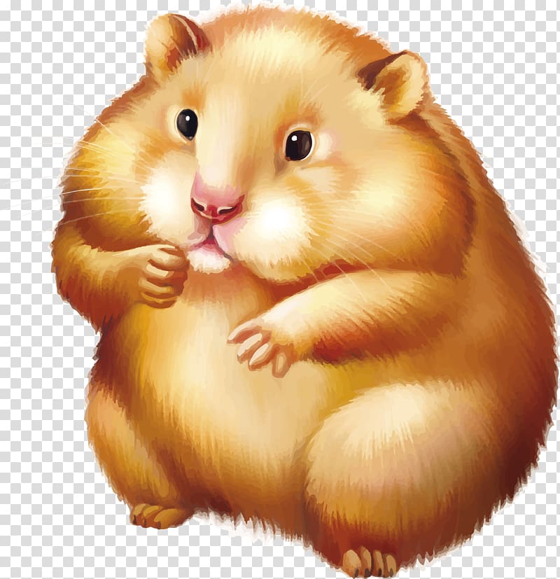Golden hamster Gerbil Mouse , rat transparent background PNG clipart
