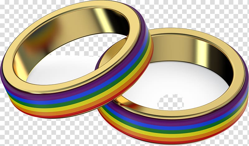 Same-sex marriage Same-sex relationship LGBT Lesbian, couple rings transparent background PNG clipart