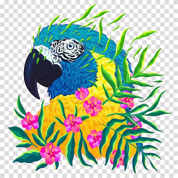 Animal Endangered species Art Cat Illustration, parrot transparent background PNG clipart