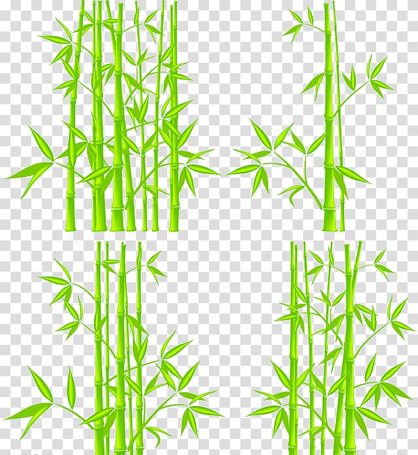 Bamboo , Bamboo creative sketch transparent background PNG clipart