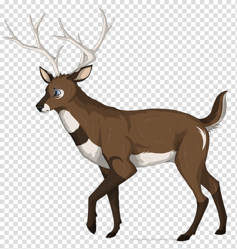 Elk White-tailed deer Reindeer Antler, deer transparent background PNG clipart