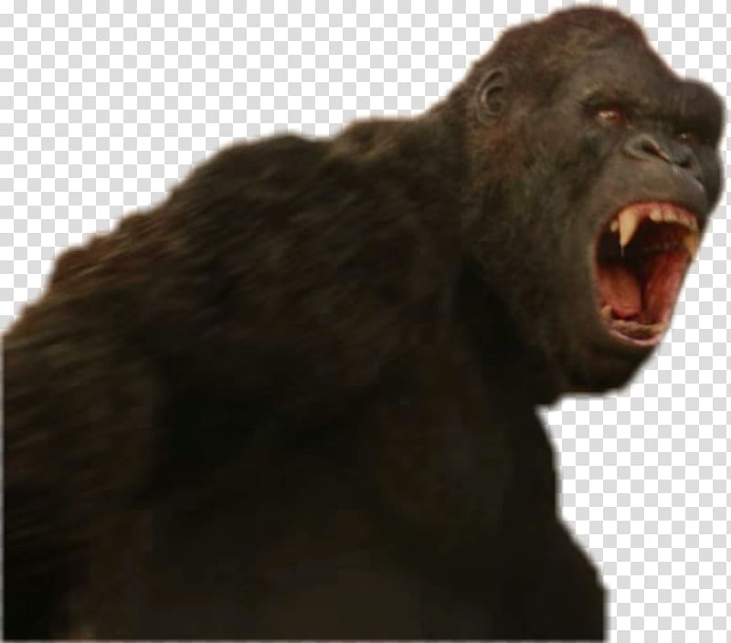 King Kong Ape Western gorilla Common chimpanzee, king kong transparent background PNG clipart