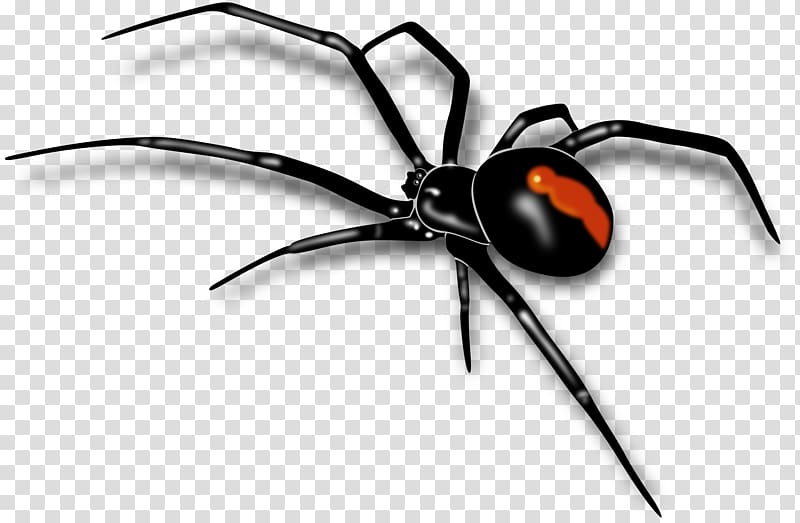 black widow spider illustration, Spider Pixel Computer file, Spider transparent background PNG clipart