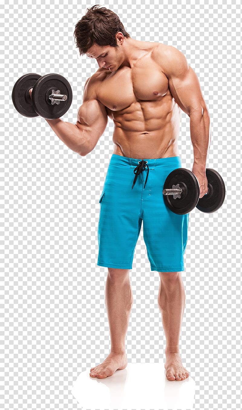 Weight training Muscle Bodybuilding Olympic weightlifting CrossFit, dumbbell exercise transparent background PNG clipart