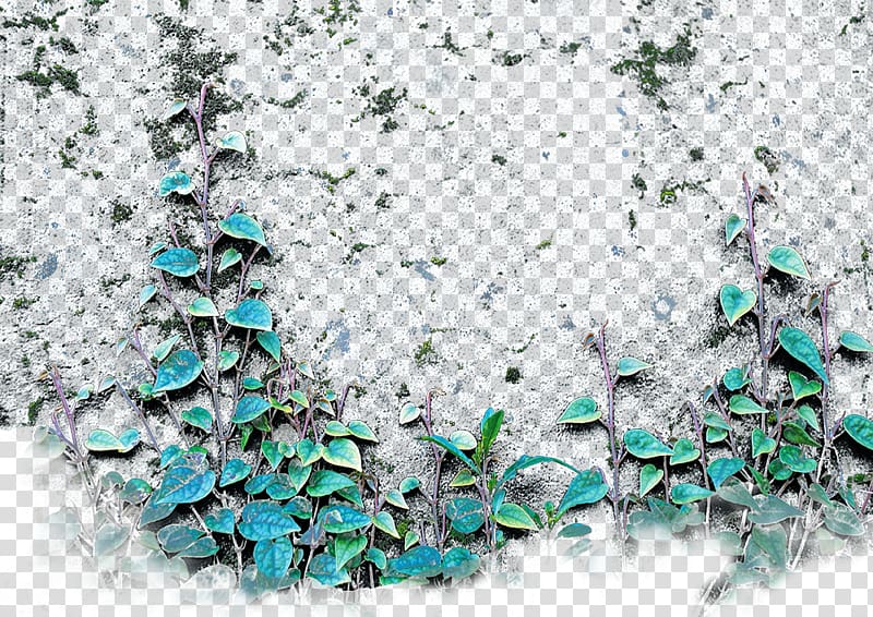 Fence Wall Parede, Wall fence flower ivy transparent background PNG clipart