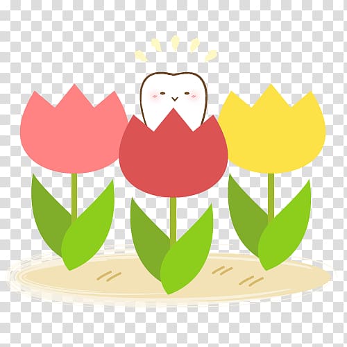 Dentist Tominaga Dental Clinic Poster Tooth, tulip transparent background PNG clipart