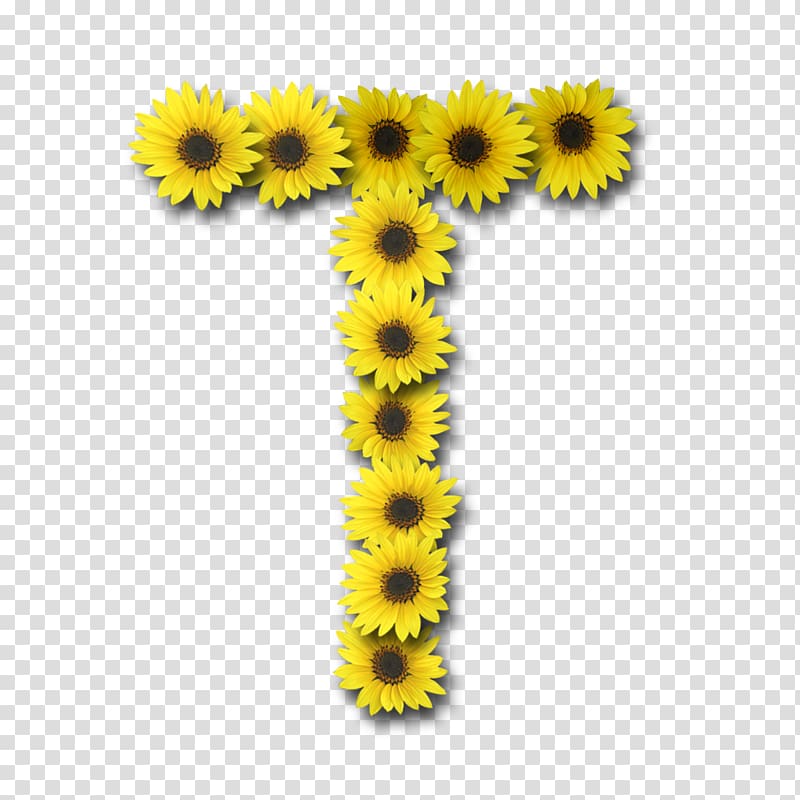Common sunflower Letter Alphabet, L transparent background PNG clipart
