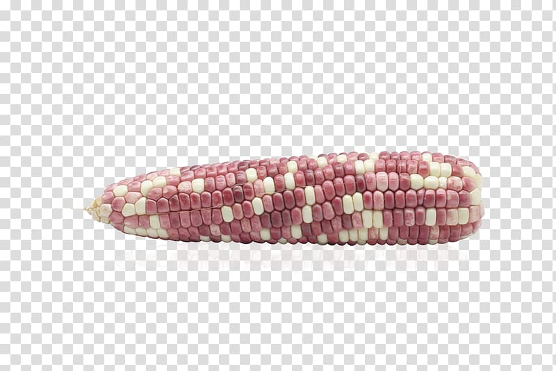 Maize Purple corn, corn transparent background PNG clipart