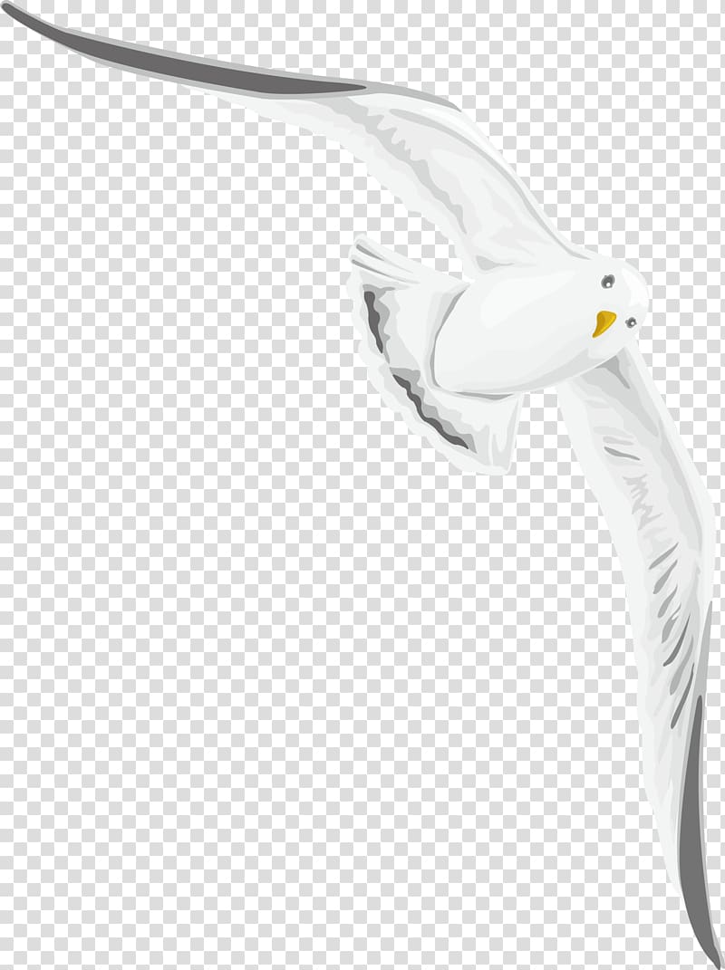 Swan goose, Wild goose decoration design transparent background PNG clipart
