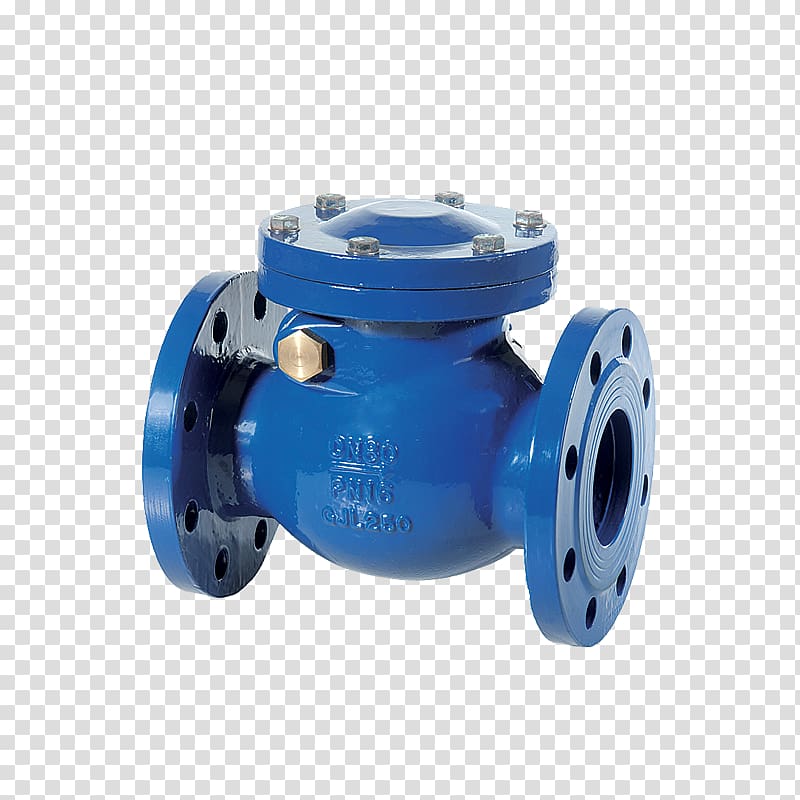Check valve Flange Ball valve Nominal Pipe Size, Double Check Valve transparent background PNG clipart
