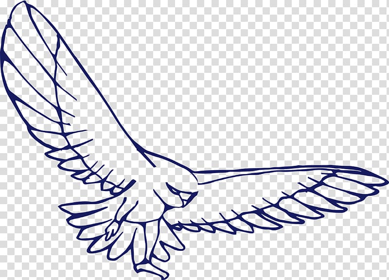 Bird Drawing Eagle, Dapeng wings fly transparent background PNG clipart