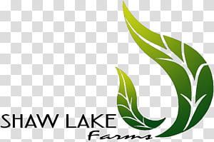 Leaf Logo Brand Plant stem Font, Leaf transparent background PNG clipart thumbnail