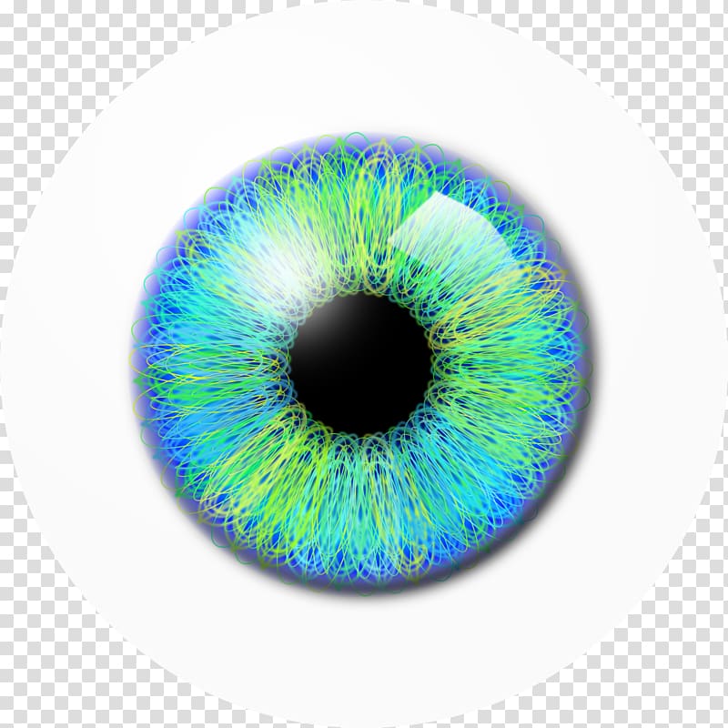 Eye Scalable Graphics , Blue-green eyes pupil transparent background PNG clipart