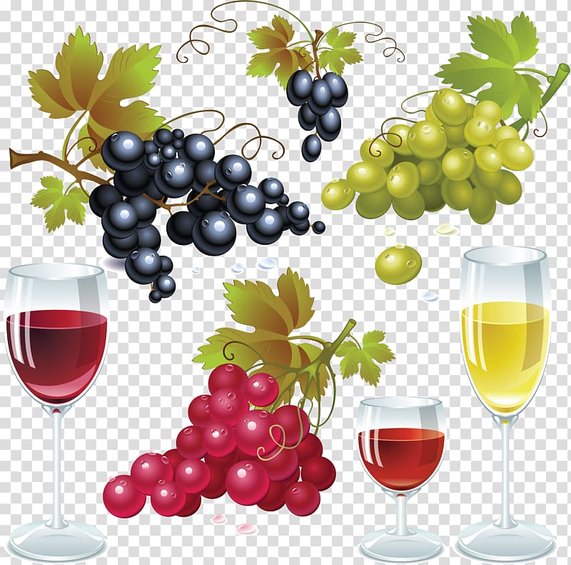 Common Grape Vine Wine Grape seed oil , Grapes transparent background PNG clipart