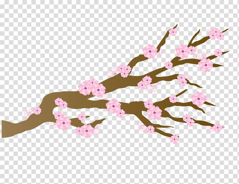 Japan National Cherry Blossom Festival, cherry blossom transparent background PNG clipart
