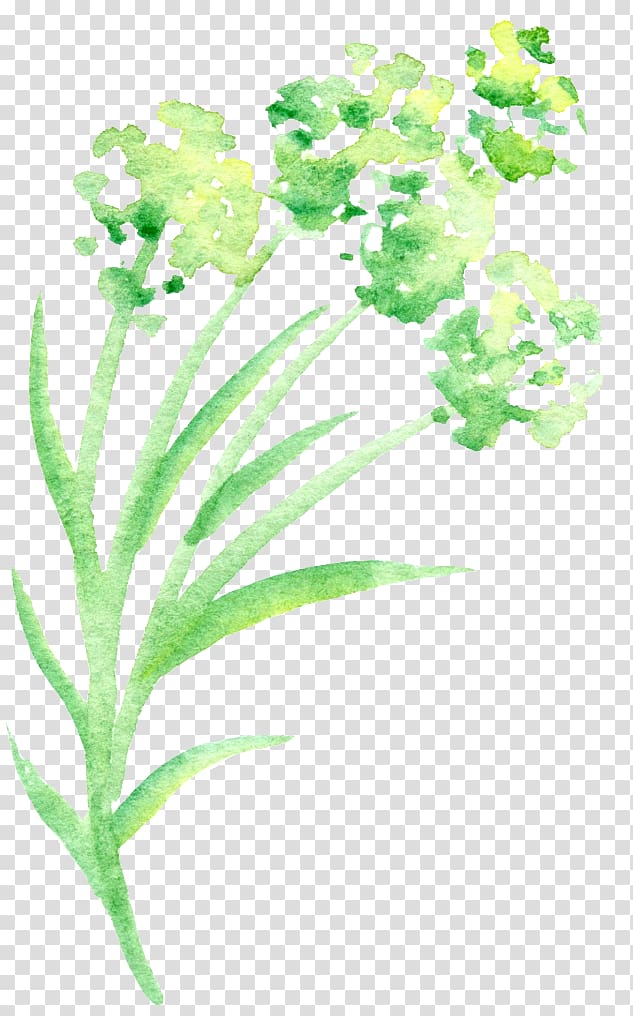 Green Petal Watercolor painting Flower, Simple green watercolor floral transparent background PNG clipart