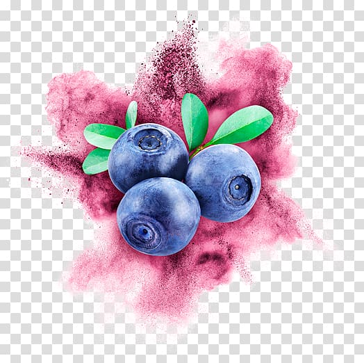 United States Bilberry Cry Baby Desktop , wild berry transparent background PNG clipart