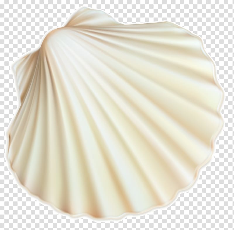 Seashell Restaurant Seashell #6 Seashell Trust Spiral, White Sea Shell , beige sea shell illustration transparent background PNG clipart
