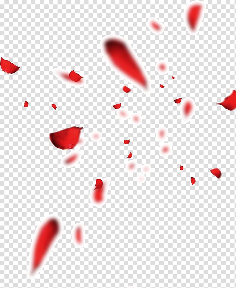 blur floating rose petals transparent background PNG clipart