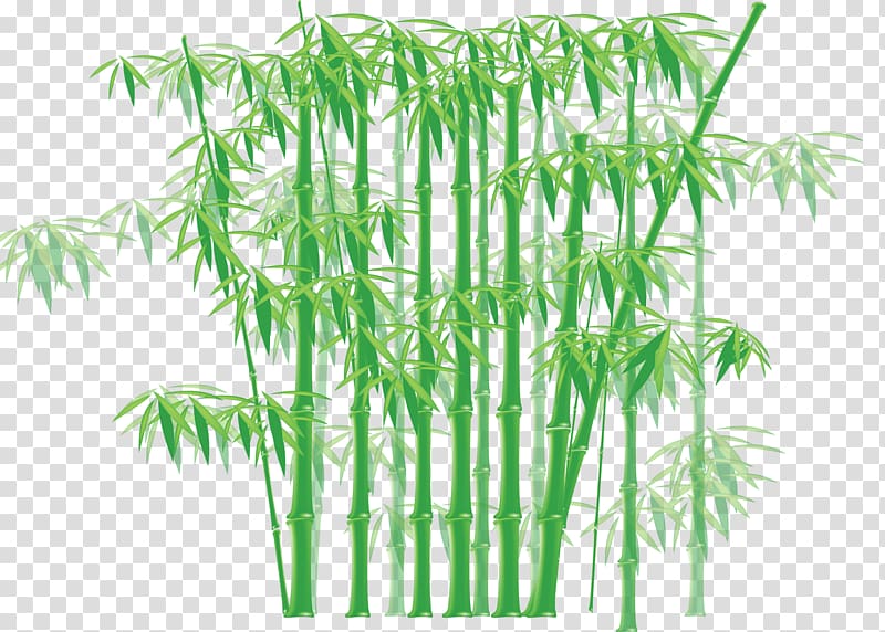 green bamboos , Bamboo , Bamboo transparent background PNG clipart