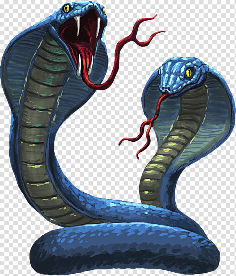Snake Reptile King cobra Elapidae, twins transparent background PNG clipart