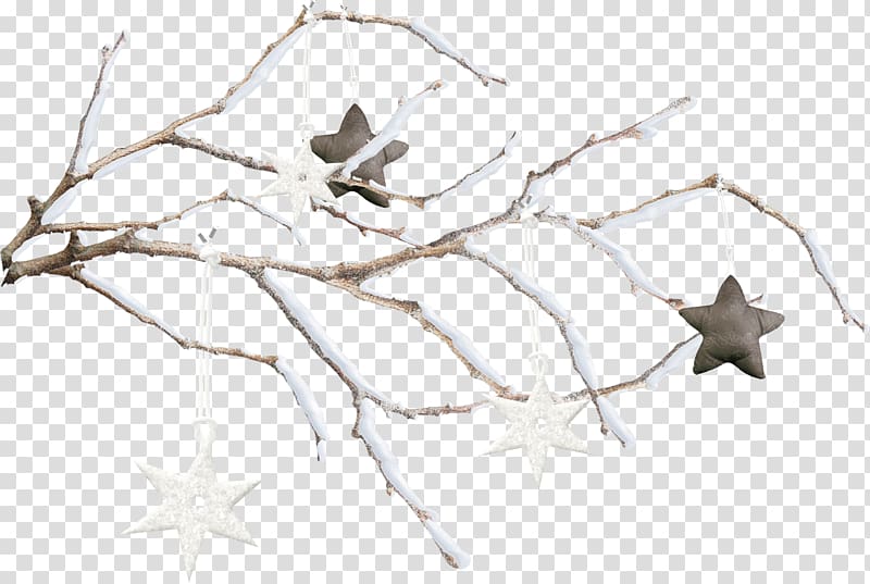 Twig Snowflake Branch, Snow branch transparent background PNG clipart