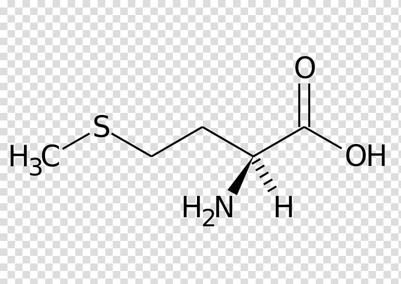 Methionine Essential amino acid Dietary supplement Phenylalanine, science transparent background PNG clipart