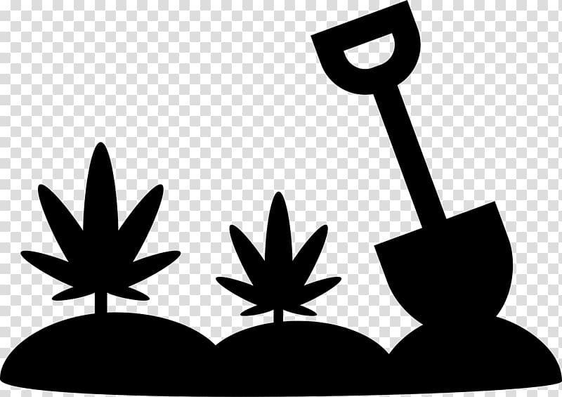 Cannabis cultivation Computer Icons Medical cannabis, cannabis transparent background PNG clipart