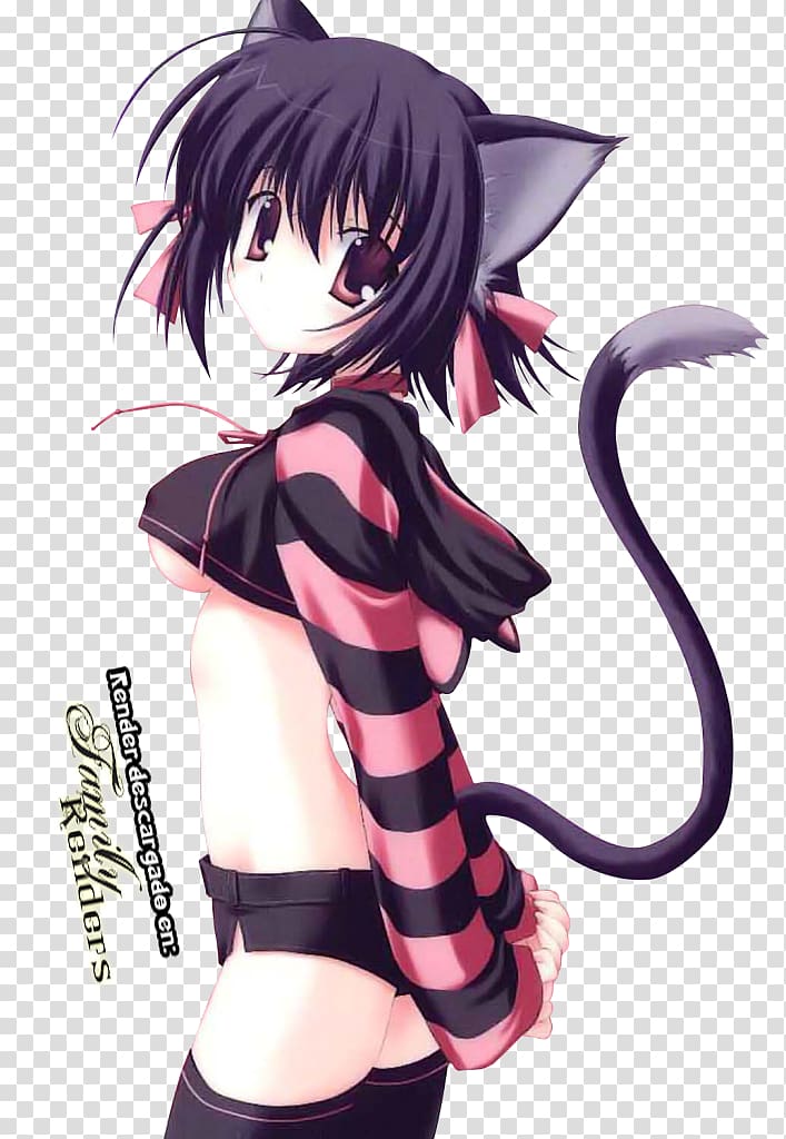 Catgirl Anime, Cat transparent background PNG clipart