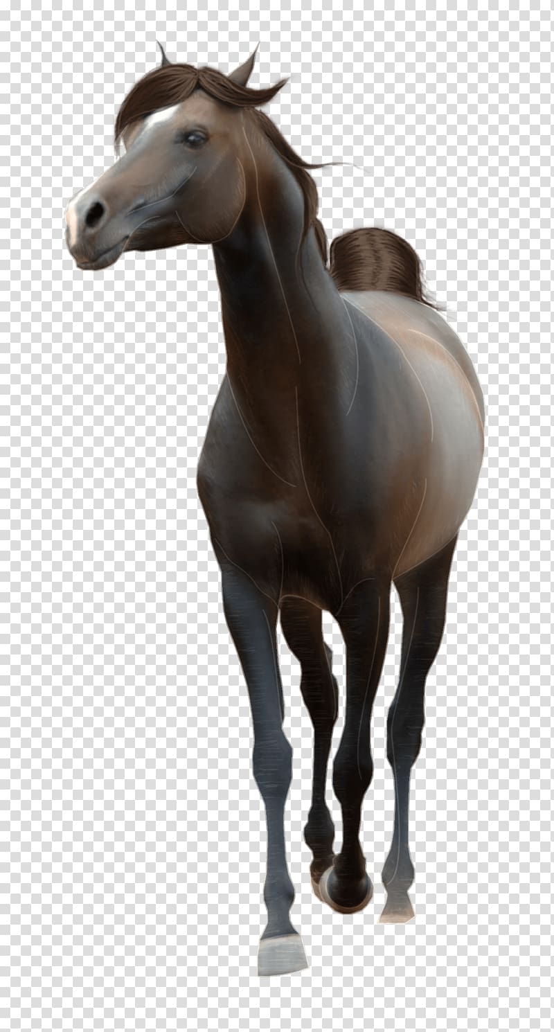 Horse Stallion, Horse transparent background PNG clipart