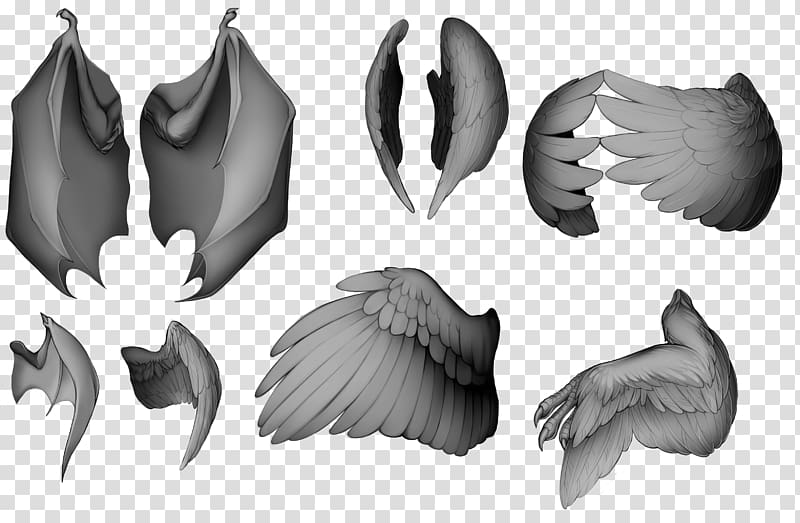 Closed wing Bird /m/02csf, wings material transparent background PNG clipart