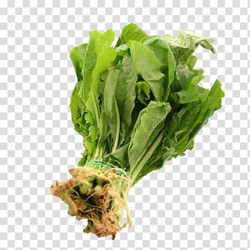 Romaine lettuce Rapini Spring greens Vegetarian cuisine Turnip, vegetable transparent background PNG clipart
