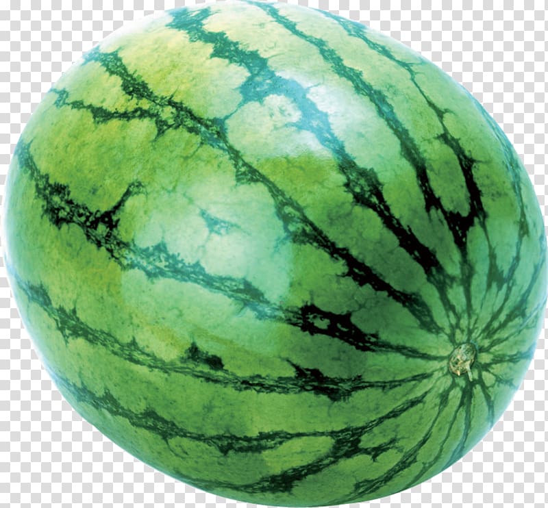 Garrys Mod Watermelon Canary melon Cantaloupe Slices, watermelon transparent background PNG clipart