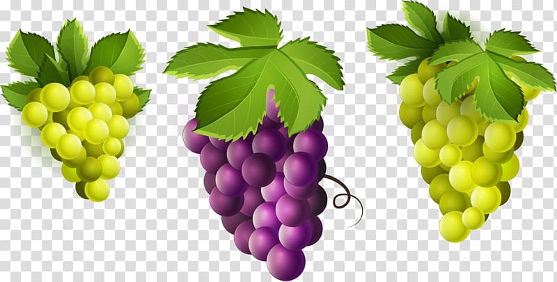 Wine Common Grape Vine Seedless fruit , grape transparent background PNG clipart