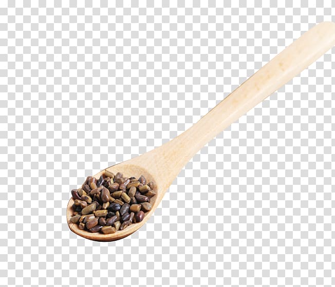 Wooden spoon, A spoon Cassia transparent background PNG clipart