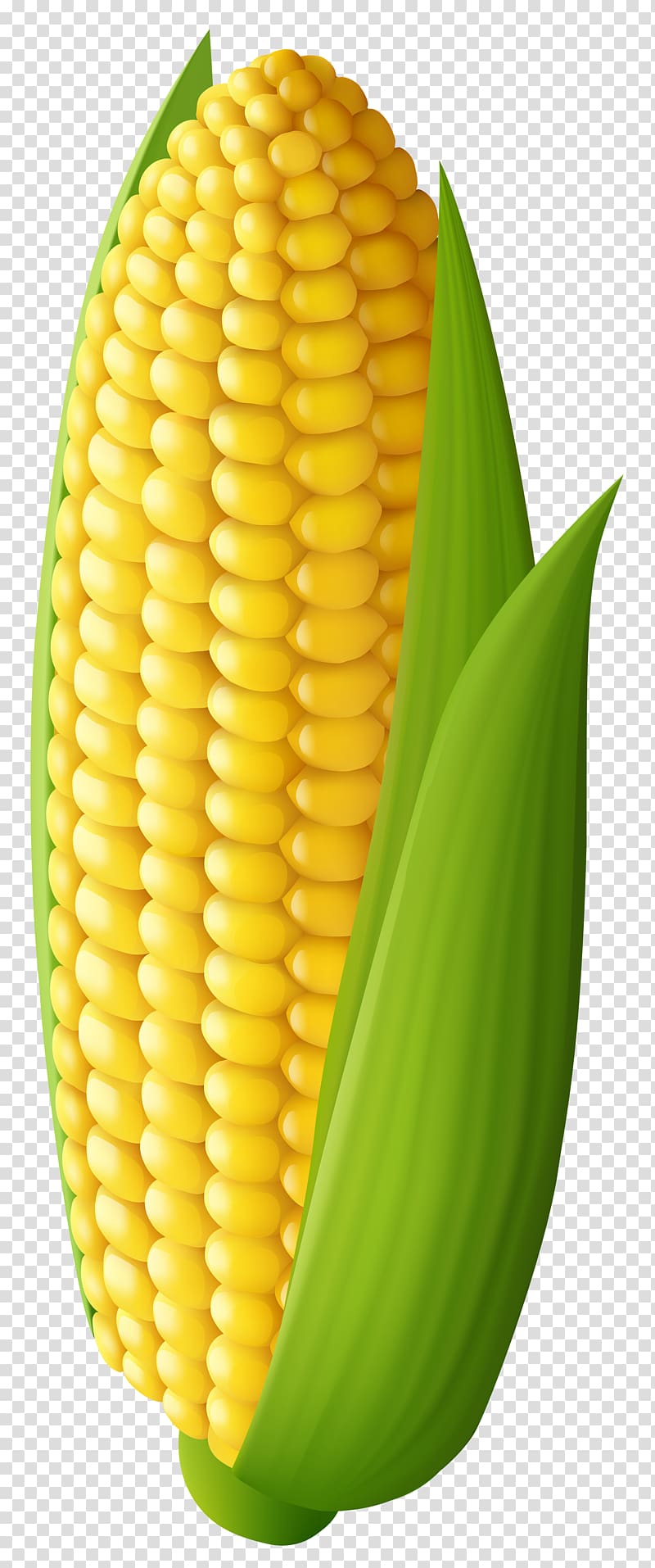 sweetcorn with leaves, Corn on the cob Maize , Corn transparent background PNG clipart