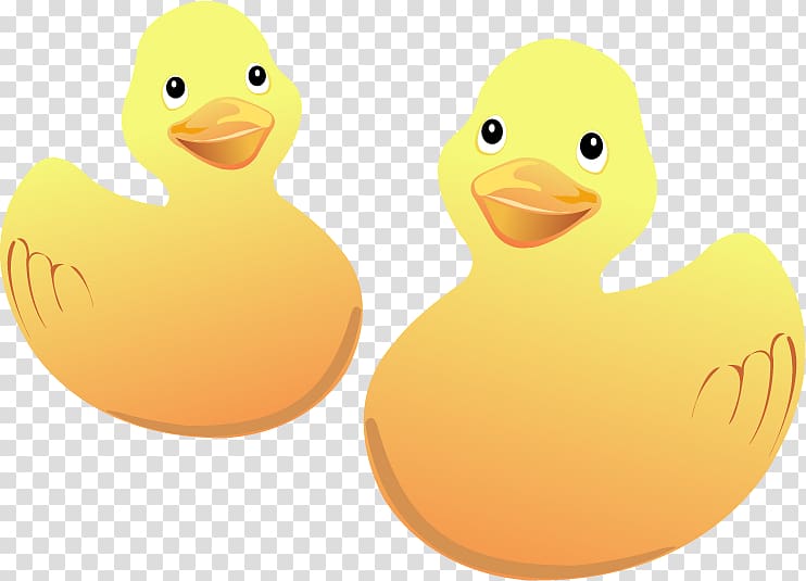Duck , Two ducks transparent background PNG clipart