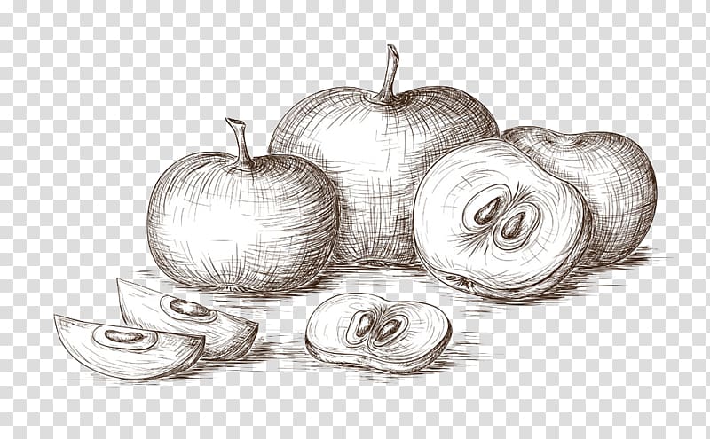 Painted apple transparent background PNG clipart