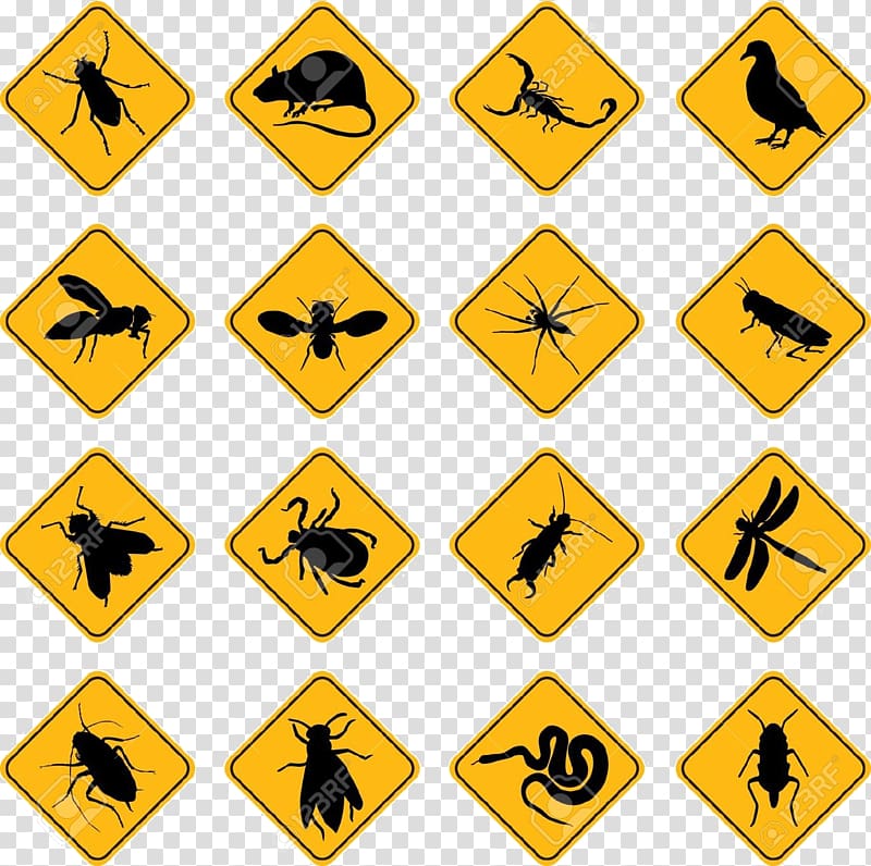 Pest Control Insect Mosquito control, pest transparent background PNG clipart