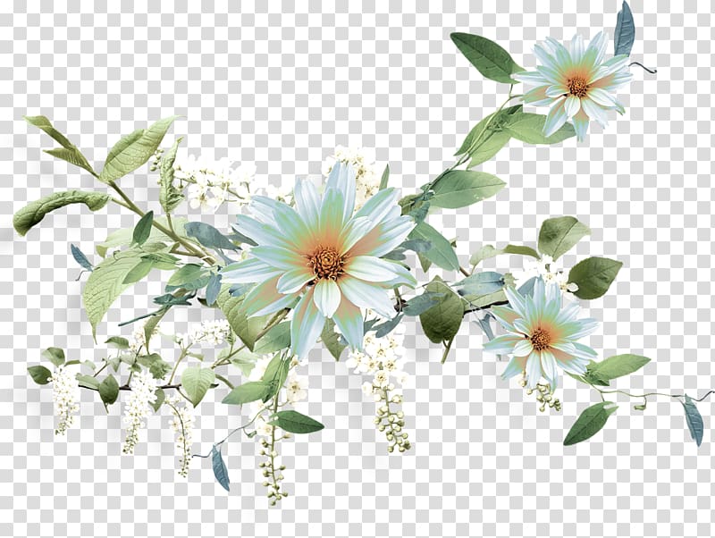 , flower transparent background PNG clipart | HiClipart