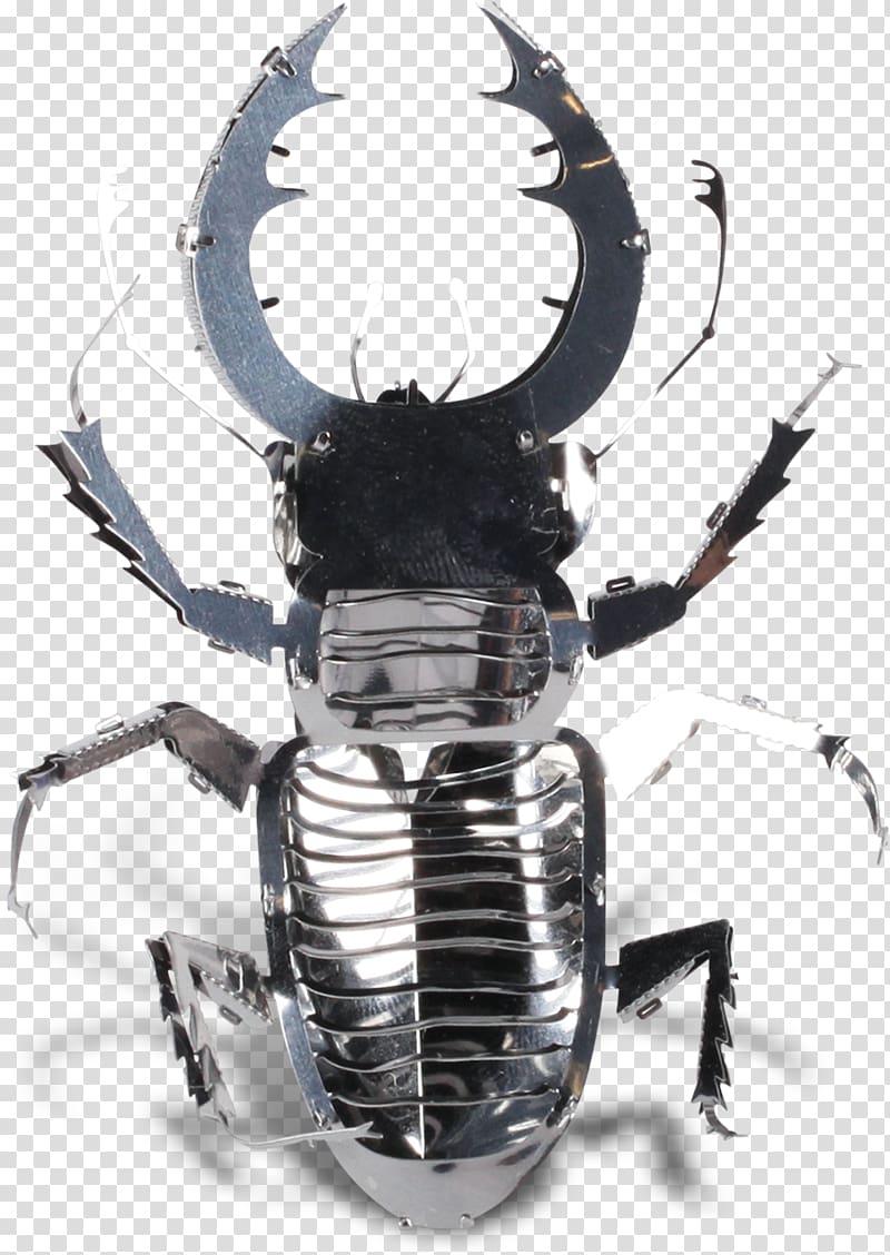 Stag beetle Hercules beetle Metal Rhinoceros beetles, beetle transparent background PNG clipart