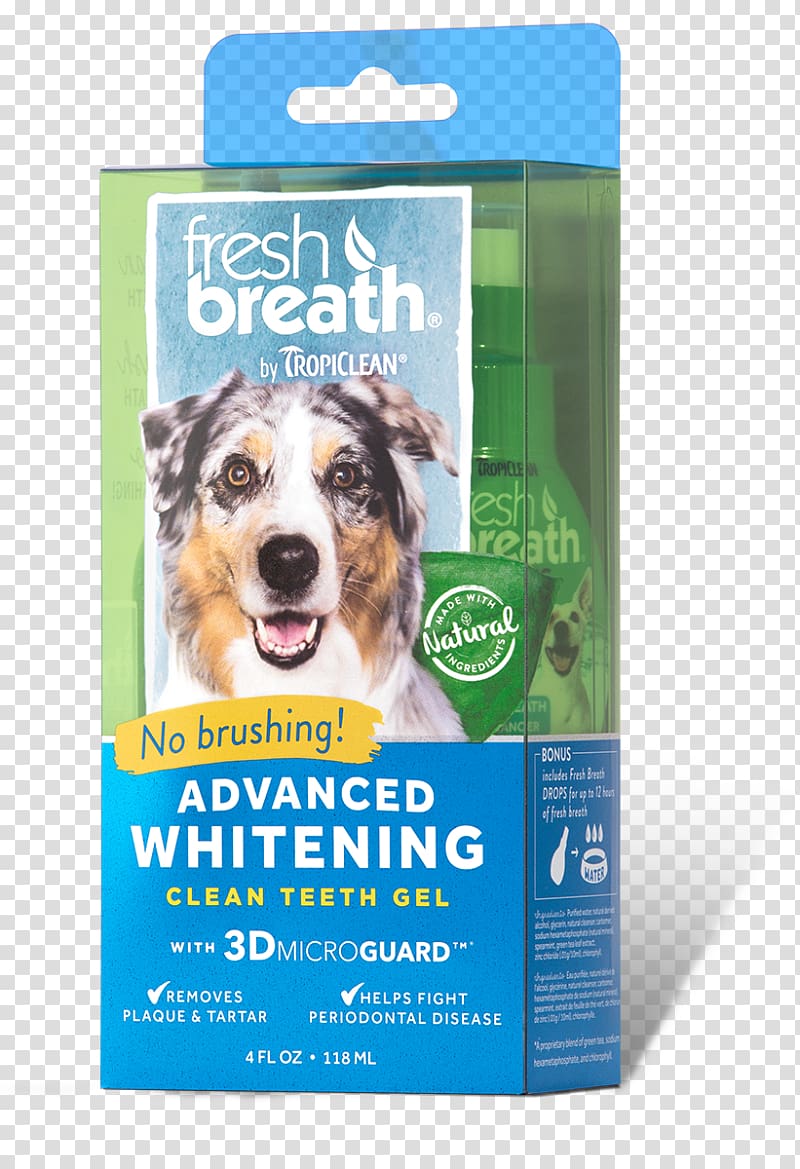 Dog Teeth cleaning Tooth whitening Oral hygiene Tooth brushing, Dog transparent background PNG clipart